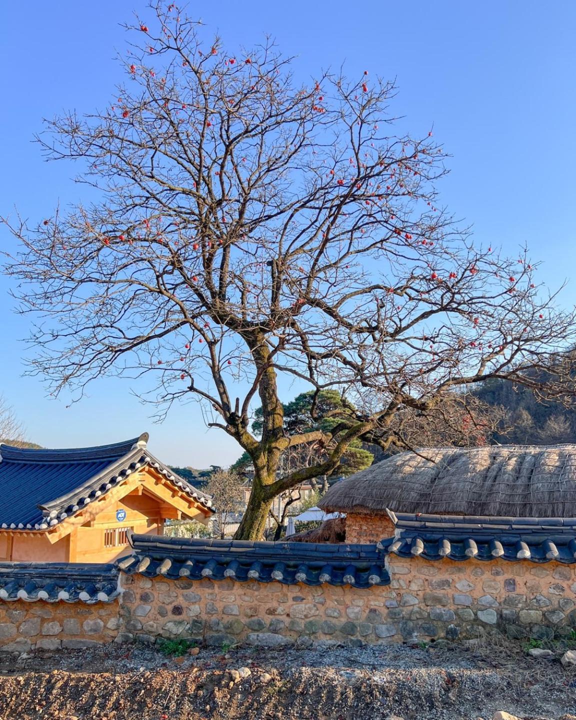 Jukheon Traditional House Andong Exterior photo